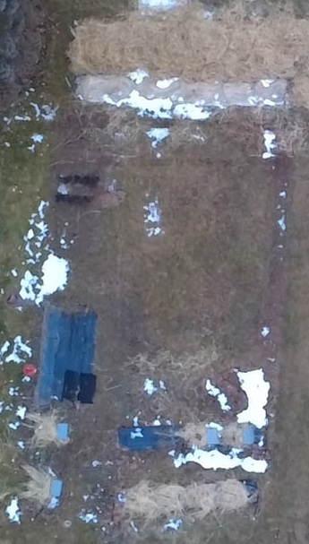 garden overview